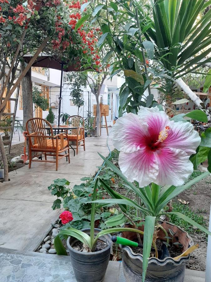El Huerto Hostel 이카 외부 사진